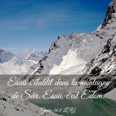 Picture 03 - Genèse 36:8 LSG - Esaü s'établit dans la montagne de Séir. - Bible Verse Picture