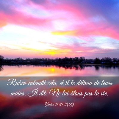 Picture 03 - Genèse 37:21 LSG - Ruben entendit cela, et il le délivra de leurs - Bible Verse Picture