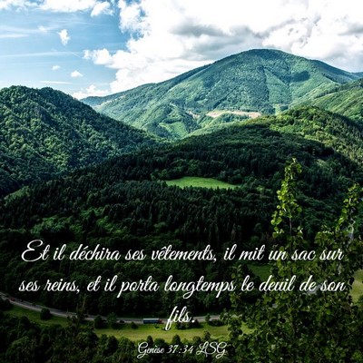 Picture 03 - Genèse 37:34 LSG - Et il déchira ses vêtements, il mit un sac sur - Bible Verse Picture