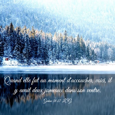 Picture 03 - Genèse 38:27 LSG - Quand elle fut au moment d'accoucher, voici, il y - Bible Verse Picture