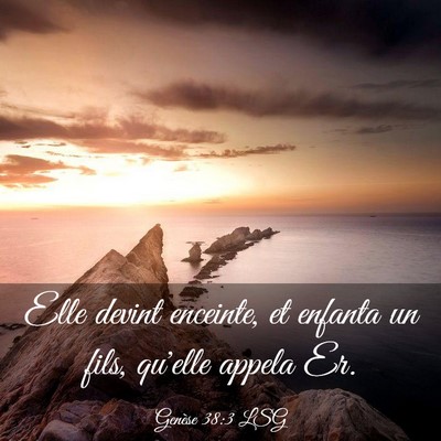 Picture 03 - Genèse 38:3 LSG - Elle devint enceinte, et enfanta un fils, qu'elle - Bible Verse Picture