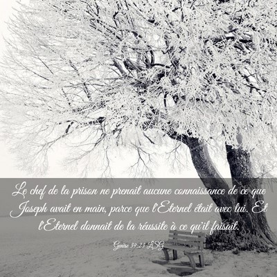 Picture 03 - Genèse 39:23 LSG - Le chef de la prison ne prenait aucune - Bible Verse Picture