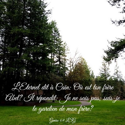 Picture 03 - Genèse 4:9 LSG - L'Eternel dit à Caïn: Où est ton frère Abel? - Bible Verse Picture