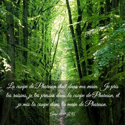 Picture 03 - Genèse 40:11 LSG - La coupe de Pharaon était dans ma main. Je pris - Bible Verse Picture