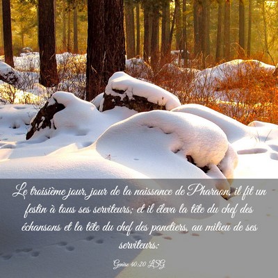 Picture 03 - Genèse 40:20 LSG - Le troisième jour, jour de la naissance de - Bible Verse Picture