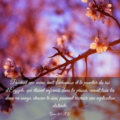 Picture 03 - Genèse 40:5 LSG - Pendant une même nuit, l'échanson et le - Bible Verse Picture