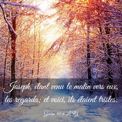 Picture 03 - Genèse 40:6 LSG - Joseph, étant venu le matin vers eux, les - Bible Verse Picture