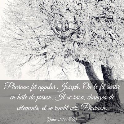 Picture 03 - Genèse 41:14 LSG - Pharaon fit appeler Joseph. On le fit sortir en - Bible Verse Picture