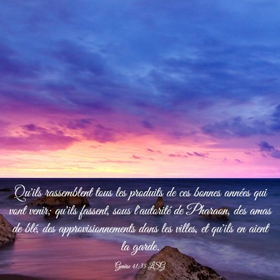Picture 03 - Genèse 41:35 LSG - Qu'ils rassemblent tous les produits de ces - Bible Verse Picture