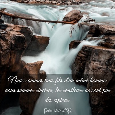 Picture 03 - Genèse 42:11 LSG - Nous sommes tous fils d'un même homme; nous - Bible Verse Picture