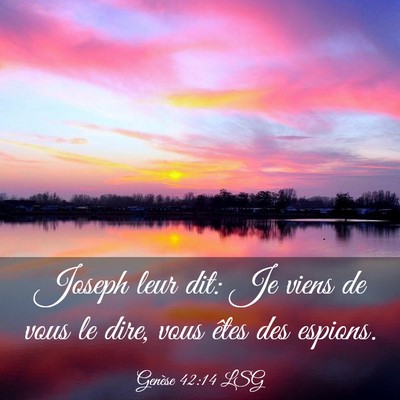 Picture 03 - Genèse 42:14 LSG - Joseph leur dit: Je viens de vous le dire, vous - Bible Verse Picture
