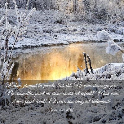 Picture 03 - Genèse 42:22 LSG - Ruben, prenant la parole, leur dit: Ne vous - Bible Verse Picture