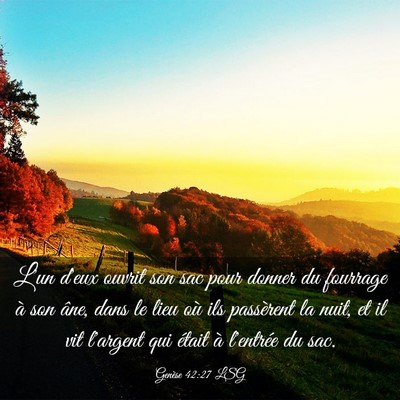 Picture 03 - Genèse 42:27 LSG - L'un d'eux ouvrit son sac pour donner du fourrage - Bible Verse Picture