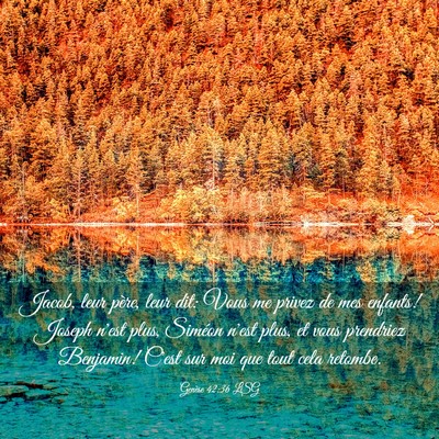Picture 03 - Genèse 42:36 LSG - Jacob, leur père, leur dit: Vous me privez de - Bible Verse Picture