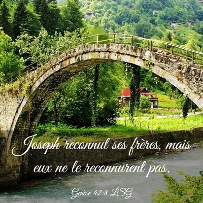 Picture 03 - Genèse 42:8 LSG - Joseph reconnut ses frères, mais eux ne le - Bible Verse Picture