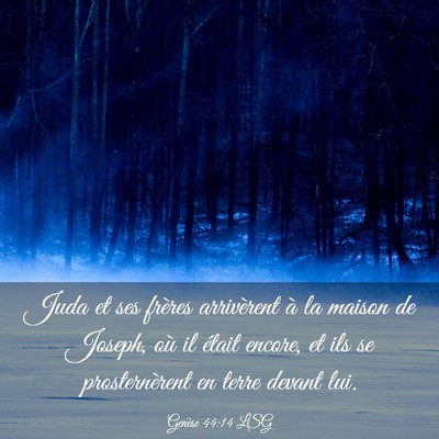 Picture 03 - Genèse 44:14 LSG - Juda et ses frères arrivèrent à la maison de - Bible Verse Picture