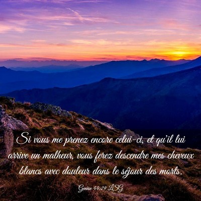 Picture 03 - Genèse 44:29 LSG - Si vous me prenez encore celui-ci, et qu'il lui - Bible Verse Picture