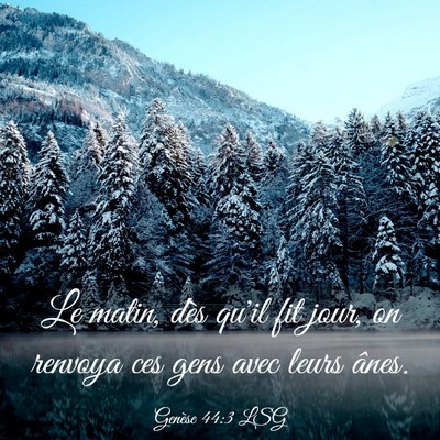 Picture 03 - Genèse 44:3 LSG - Le matin, dès qu'il fit jour, on renvoya ces - Bible Verse Picture
