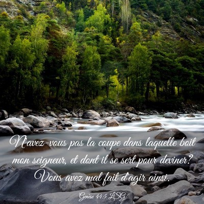 Picture 03 - Genèse 44:5 LSG - N'avez-vous pas la coupe dans laquelle boit mon - Bible Verse Picture