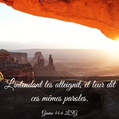 Picture 03 - Genèse 44:6 LSG - L'intendant les atteignit, et leur dit ces mêmes - Bible Verse Picture