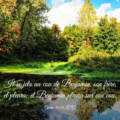 Picture 03 - Genèse 45:14 LSG - Il se jeta au cou de Benjamin, son frère, et - Bible Verse Picture
