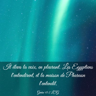 Picture 03 - Genèse 45:2 LSG - Il éleva la voix, en pleurant. Les Egyptiens - Bible Verse Picture