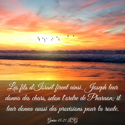 Picture 03 - Genèse 45:21 LSG - Les fils d'Israël firent ainsi. Joseph leur - Bible Verse Picture