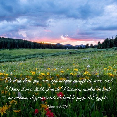 Picture 03 - Genèse 45:8 LSG - Ce n'est donc pas vous qui m'avez envoyé ici, - Bible Verse Picture
