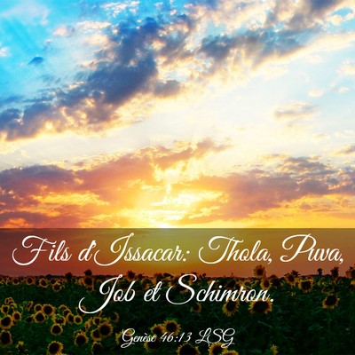 Picture 03 - Genèse 46:13 LSG - Fils d'Issacar: Thola, Puva, Job et - Bible Verse Picture