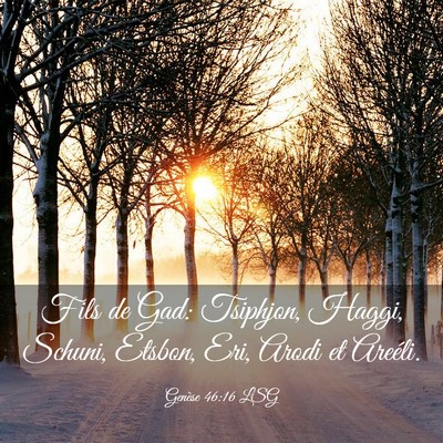 Picture 03 - Genèse 46:16 LSG - Fils de Gad: Tsiphjon, Haggi, Schuni, Etsbon, - Bible Verse Picture
