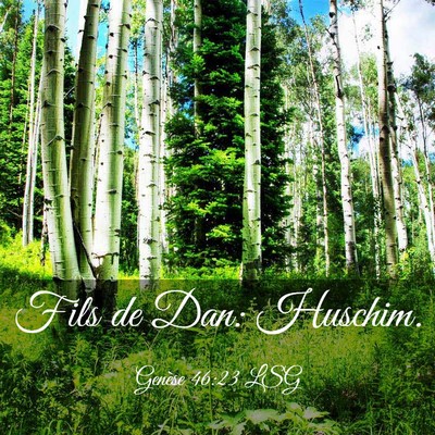Picture 03 - Genèse 46:23 LSG - Fils de Dan: - Bible Verse Picture