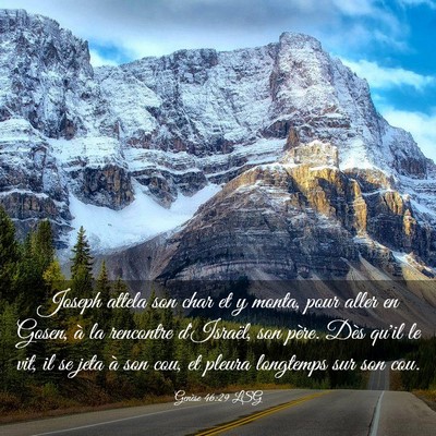 Picture 03 - Genèse 46:29 LSG - Joseph attela son char et y monta, pour aller en - Bible Verse Picture