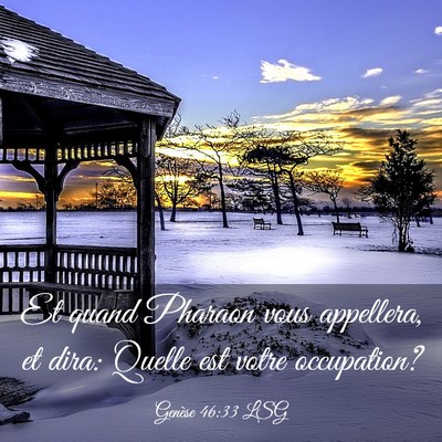Picture 03 - Genèse 46:33 LSG - Et quand Pharaon vous appellera, et dira: Quelle - Bible Verse Picture