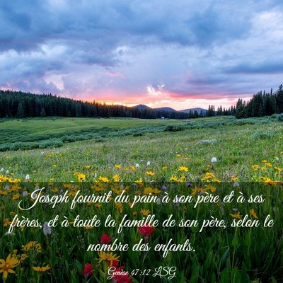 Picture 03 - Genèse 47:12 LSG - Joseph fournit du pain à son père et à ses - Bible Verse Picture