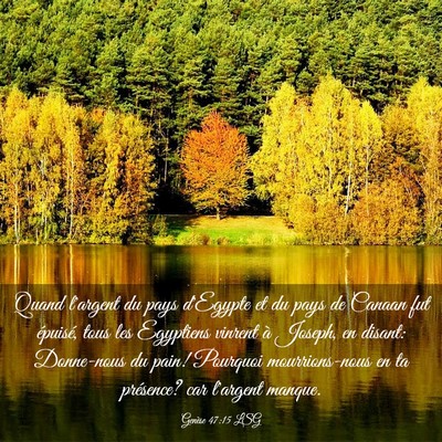 Picture 03 - Genèse 47:15 LSG - Quand l'argent du pays d'Egypte et du pays de - Bible Verse Picture