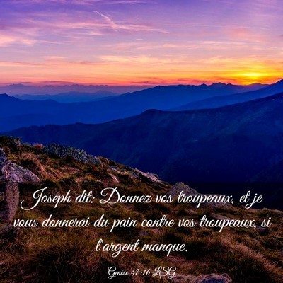 Picture 03 - Genèse 47:16 LSG - Joseph dit: Donnez vos troupeaux, et je vous - Bible Verse Picture