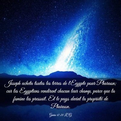Picture 03 - Genèse 47:20 LSG - Joseph acheta toutes les terres de l'Egypte pour - Bible Verse Picture
