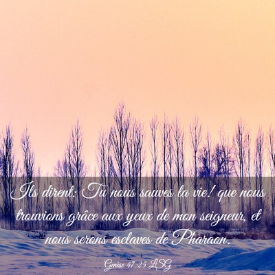 Picture 03 - Genèse 47:25 LSG - Ils dirent: Tu nous sauves la vie! que nous - Bible Verse Picture