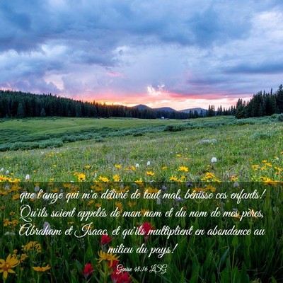 Picture 03 - Genèse 48:16 LSG - que l'ange qui m'a délivré de tout mal, - Bible Verse Picture