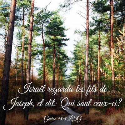 Picture 03 - Genèse 48:8 LSG - Israël regarda les fils de Joseph, et dit: Qui - Bible Verse Picture