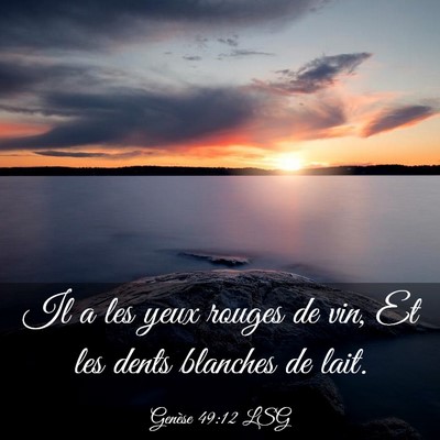Picture 03 - Genèse 49:12 LSG - Il a les yeux rouges de vin, Et les dents - Bible Verse Picture