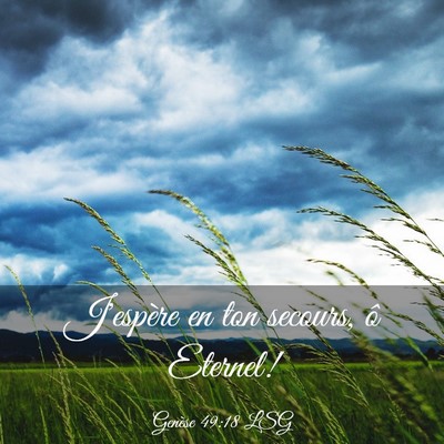 Picture 03 - Genèse 49:18 LSG - J'espère en ton secours, ô - Bible Verse Picture