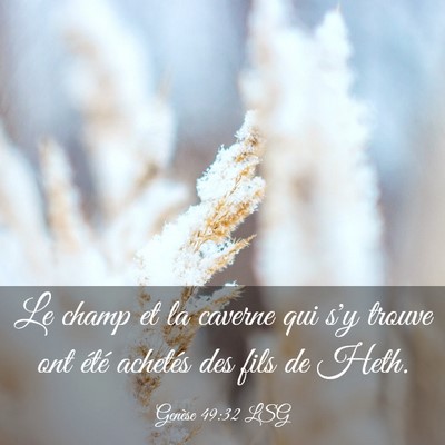 Picture 03 - Genèse 49:32 LSG - Le champ et la caverne qui s'y trouve ont été - Bible Verse Picture