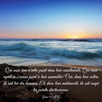 Picture 03 - Genèse 49:6 LSG - Que mon âme n'entre point dans leur - Bible Verse Picture