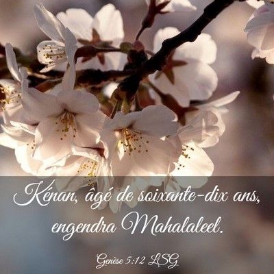 Picture 03 - Genèse 5:12 LSG - Kénan, âgé de soixante-dix ans, engendra - Bible Verse Picture