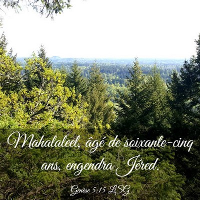 Picture 03 - Genèse 5:15 LSG - Mahalaleel, âgé de soixante-cinq ans, engendra - Bible Verse Picture