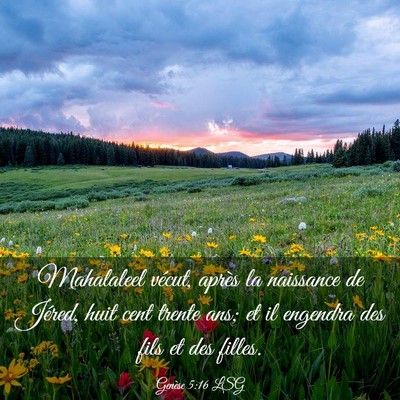 Picture 03 - Genèse 5:16 LSG - Mahalaleel vécut, après la naissance de Jéred, - Bible Verse Picture