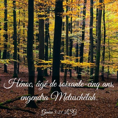 Picture 03 - Genèse 5:21 LSG - Hénoc, âgé de soixante-cinq ans, engendra - Bible Verse Picture