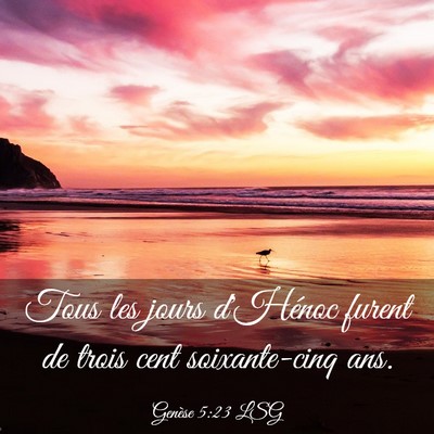 Picture 03 - Genèse 5:23 LSG - Tous les jours d'Hénoc furent de trois cent - Bible Verse Picture