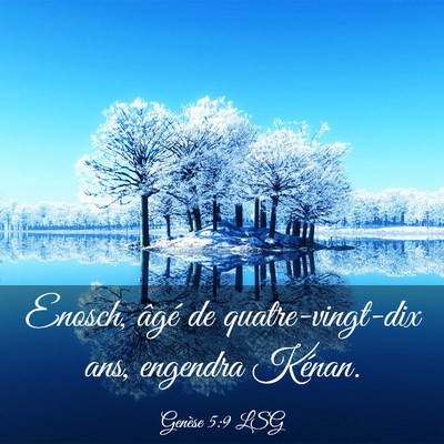 Picture 03 - Genèse 5:9 LSG - Enosch, âgé de quatre-vingt-dix ans, engendra - Bible Verse Picture